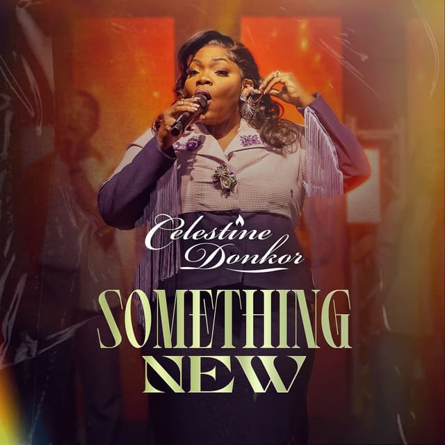 Album cover art for Something New