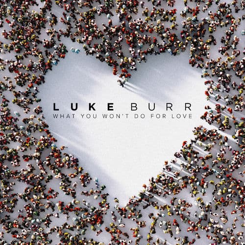 Album cover art for What You Won't Do For Love