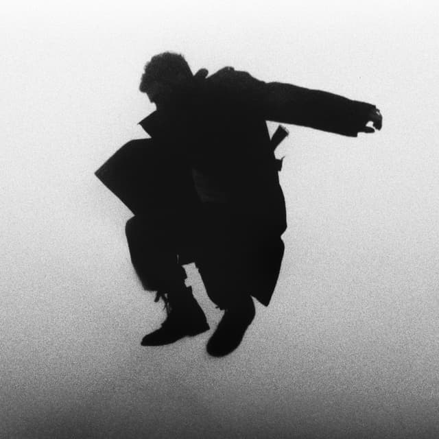 Album cover art for Chasing The Chimera