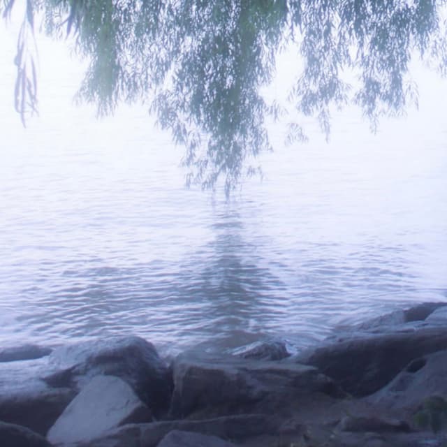 Album cover art for Shore