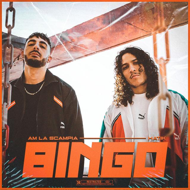 Album cover art for Bingo