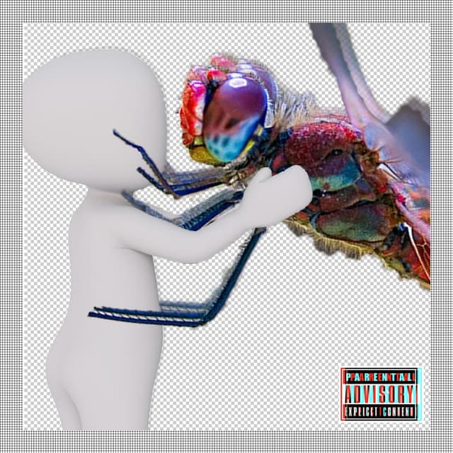 Album cover art for Suzi