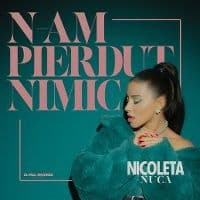 Album cover art for N-am Pierdut Nimic
