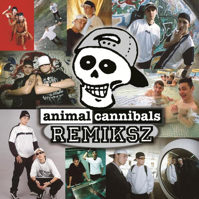 Album cover art for Remiksz