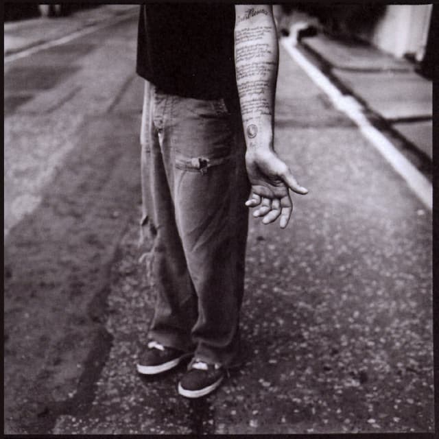 Album cover art for Nico
