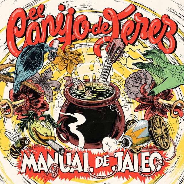 Album cover art for Manual de Jaleo