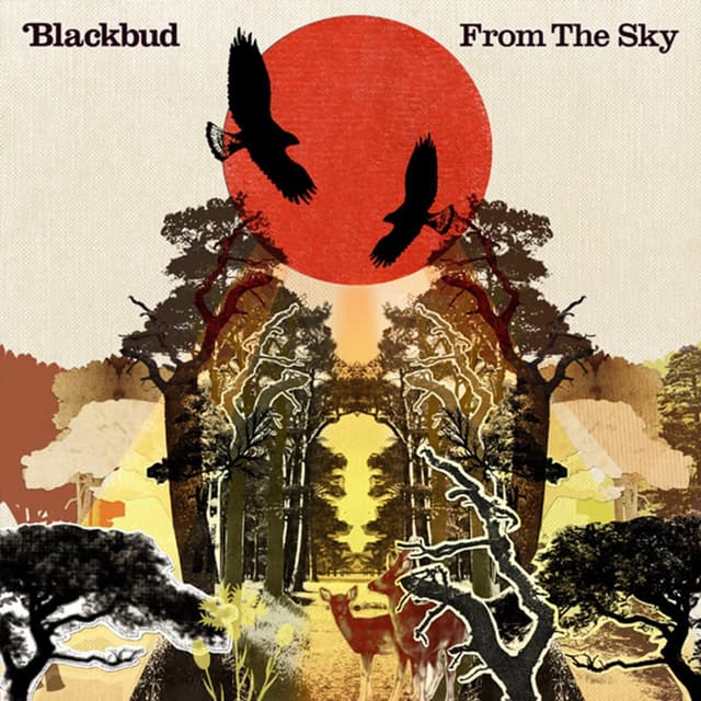 Album cover art for From The Sky