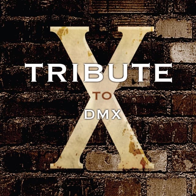 Album cover art for Tribute To Dmx