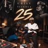 25