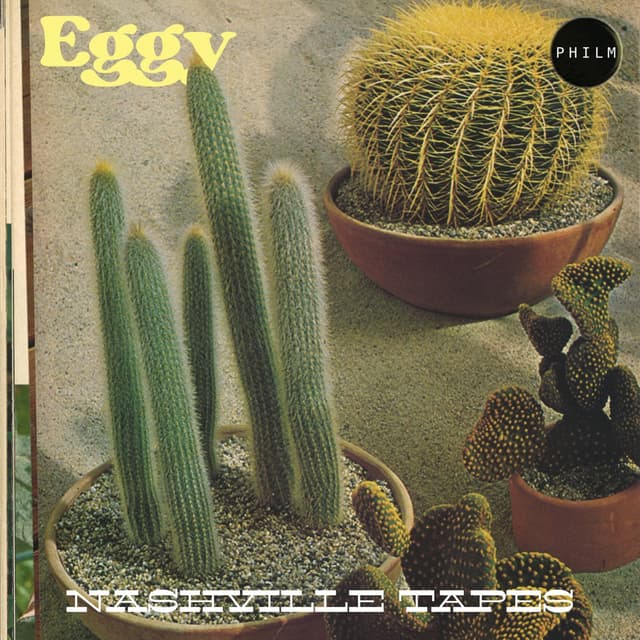 Album cover art for Nashville Tapes