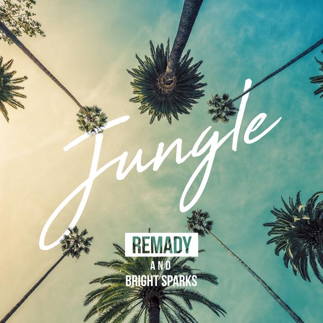 Album cover art for Jungle