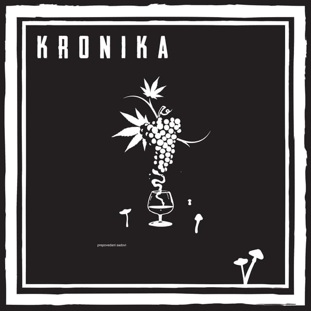 Album cover art for Prepovedani sadovi