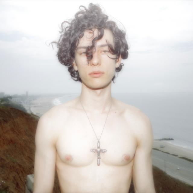 Album cover art for Late Bloomer, Early Death