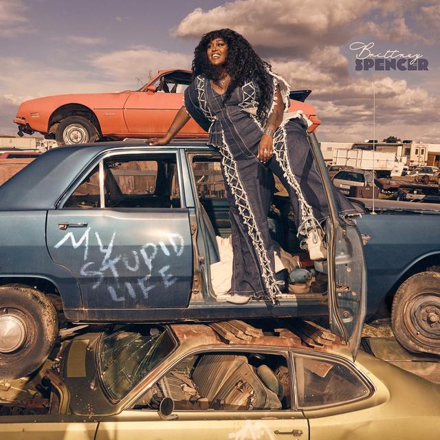 Album cover art for My Stupid Life