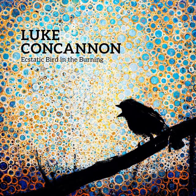 Album cover art for Ecstatic Bird in the Burning