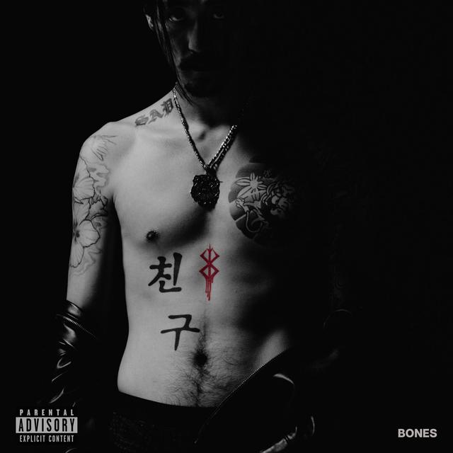 Album cover art for Blood & Bones (Bones)