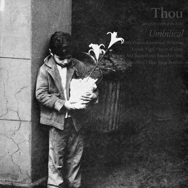 Album cover art for Umbilical