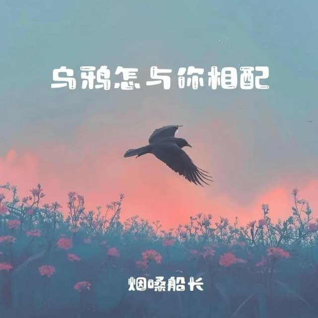 Album cover art for 乌鸦怎与你相配