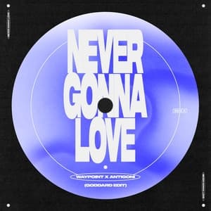 Album cover art for Never Gonna Love (goddard. Edit)