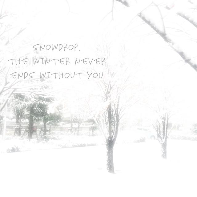 Album cover art for Snowdrop (feat. Angelize) - Single
