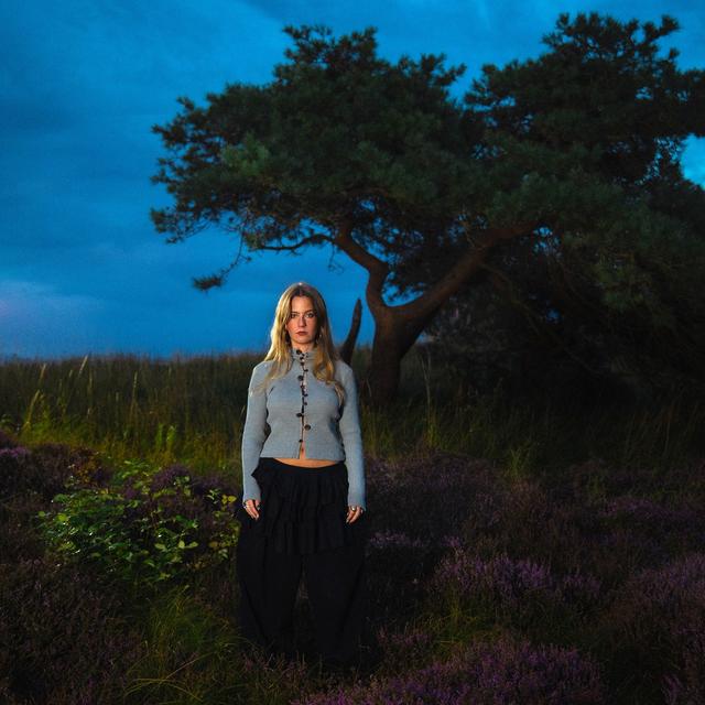 Album cover art for (over)lever