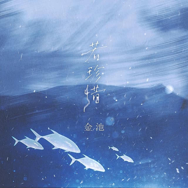 Album cover art for 若珍惜