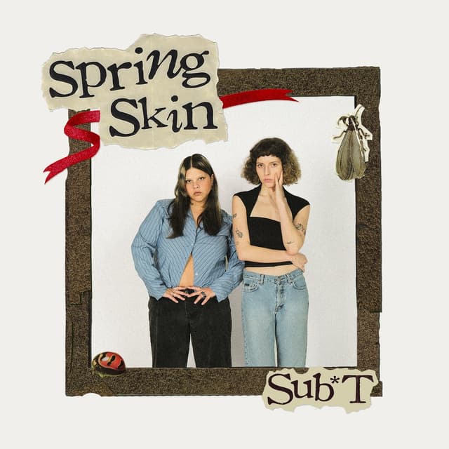 Album cover art for Spring Skin