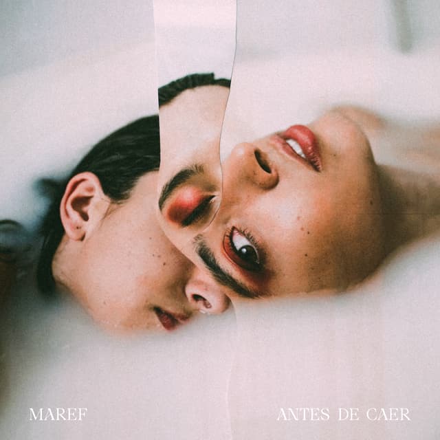 Album cover art for Antes de caer