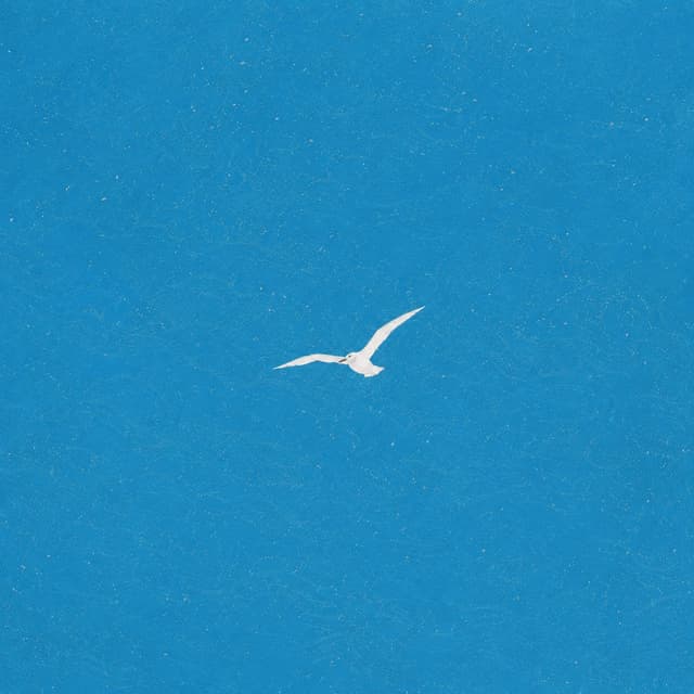 Album cover art for 아무도 듣지 않는 노래