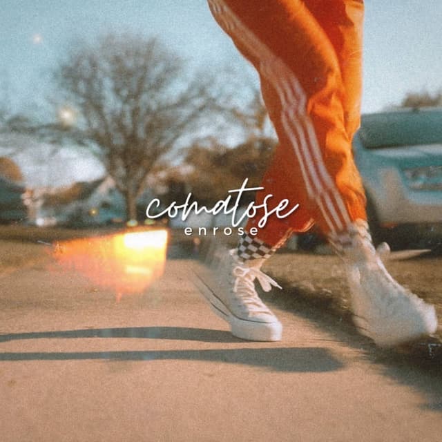 Album cover art for Comatose