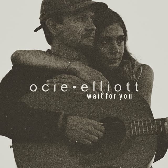 Album cover art for Wait for You