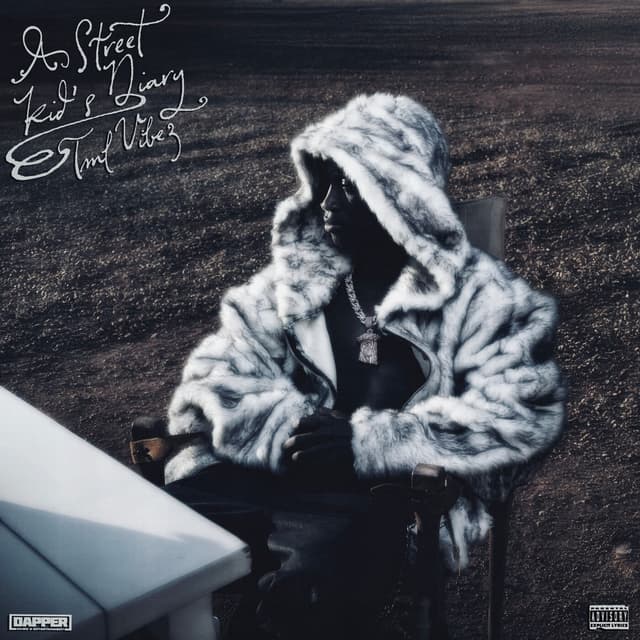 Album cover art for A Street Kid's Diary