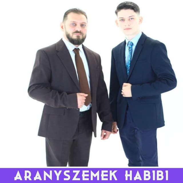 Album cover art for HABIBI