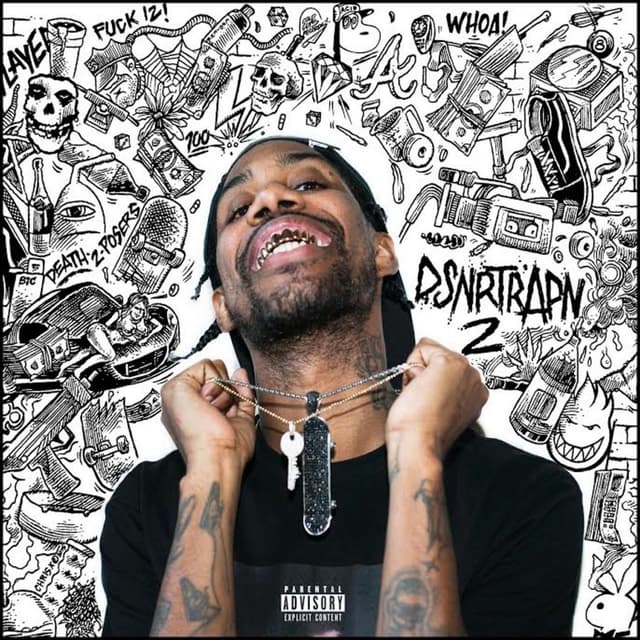 Album cover art for Dsnrtrapn 2
