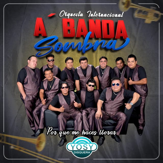 Album cover art for Por Que Me Haces Llorar