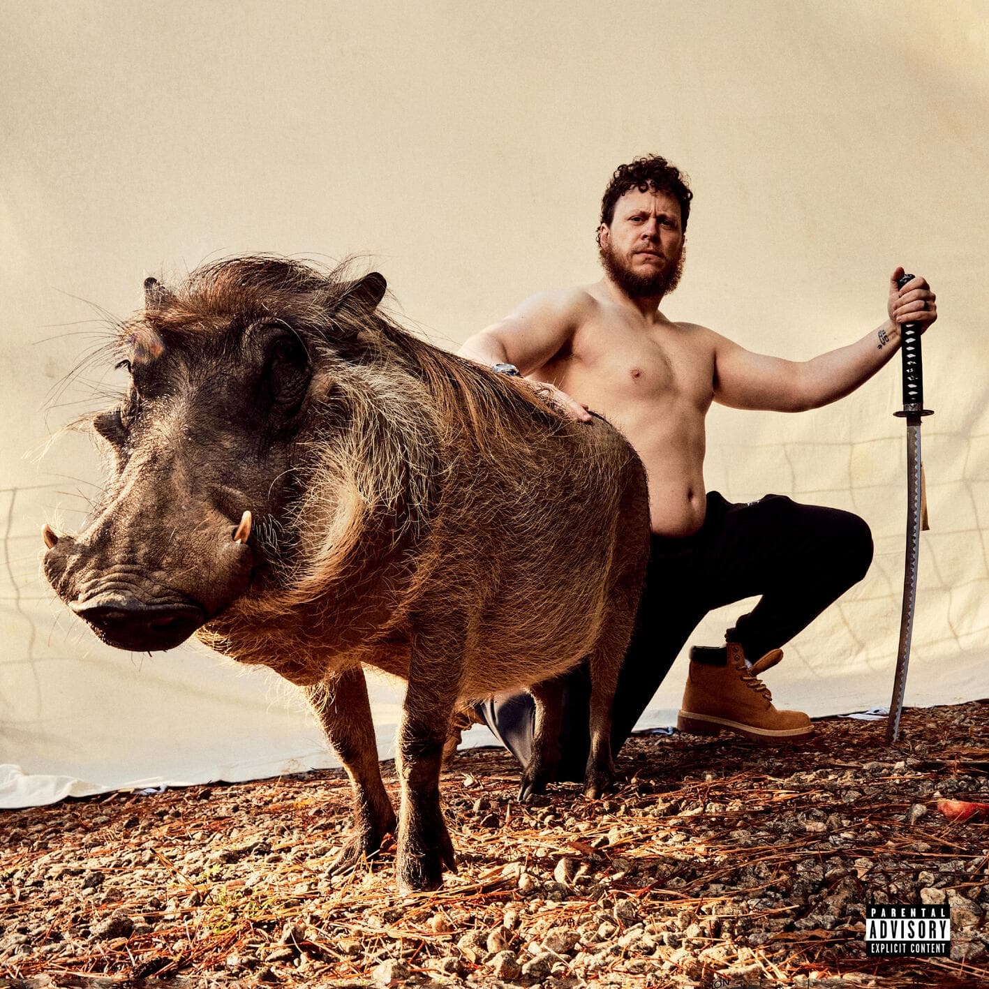 Lyric cover art
