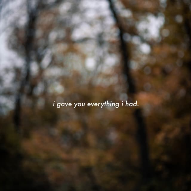 Album cover art for i gave you everything i had.