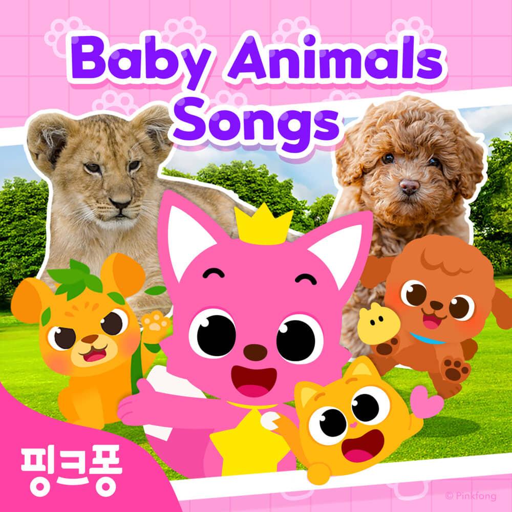 핑크퐁 아기동물 영어 동요