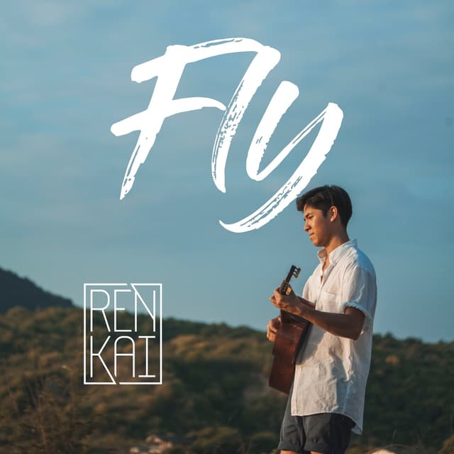 Album cover art for Fly