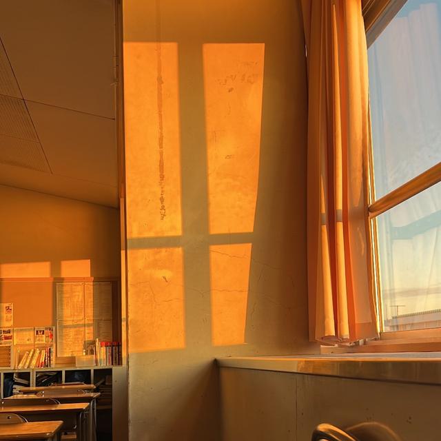 Album cover art for Never See U - Single