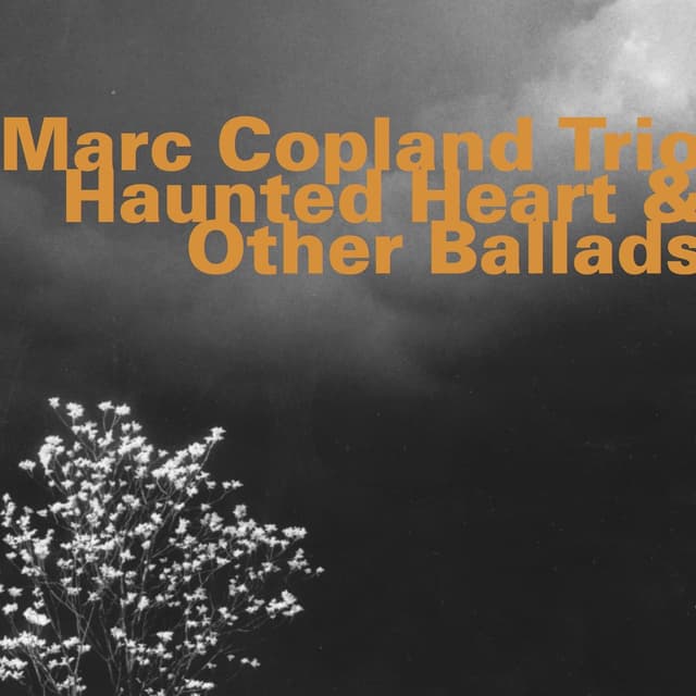 Album cover art for Haunted Heart & Other Ballads