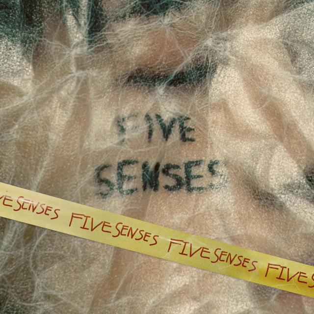 Album cover art for Five Senses