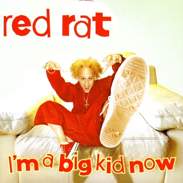 Album cover art for I'm A Big Kid Now