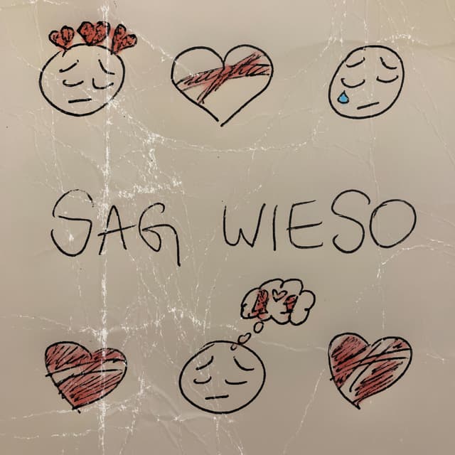 Album cover art for Sag Wieso