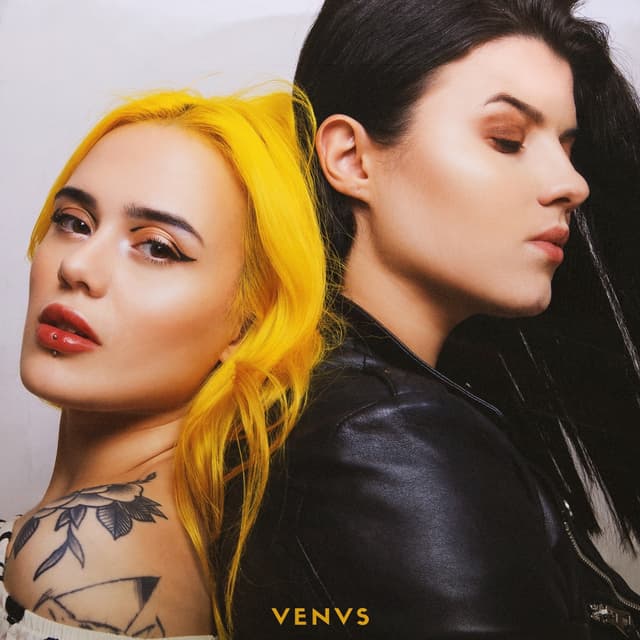 Album cover art for VENVS