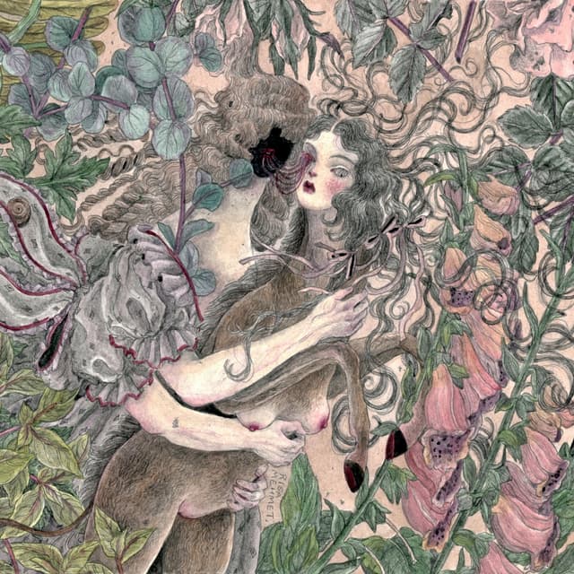 Album cover art for La rose de fer