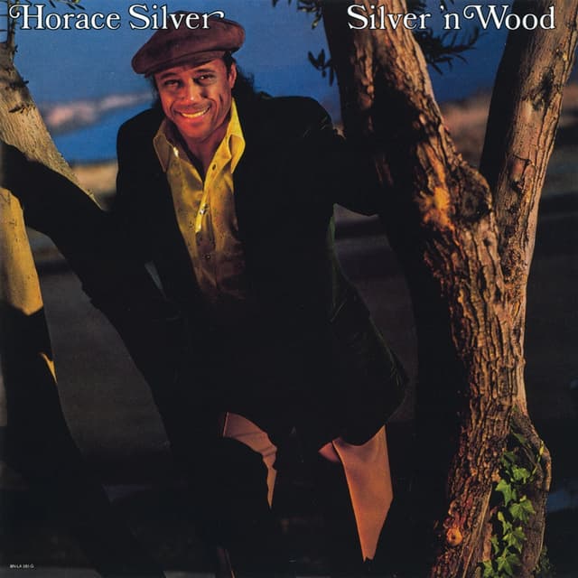 Album cover art for Silver 'N Wood