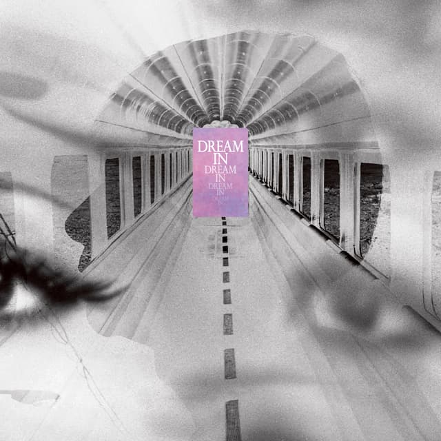 Album cover art for 夢中夢