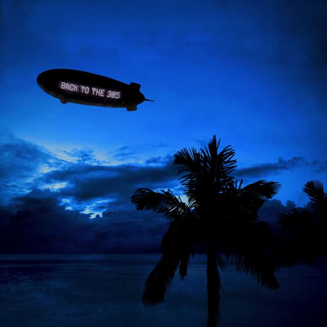 Album cover art for Back to the 305
