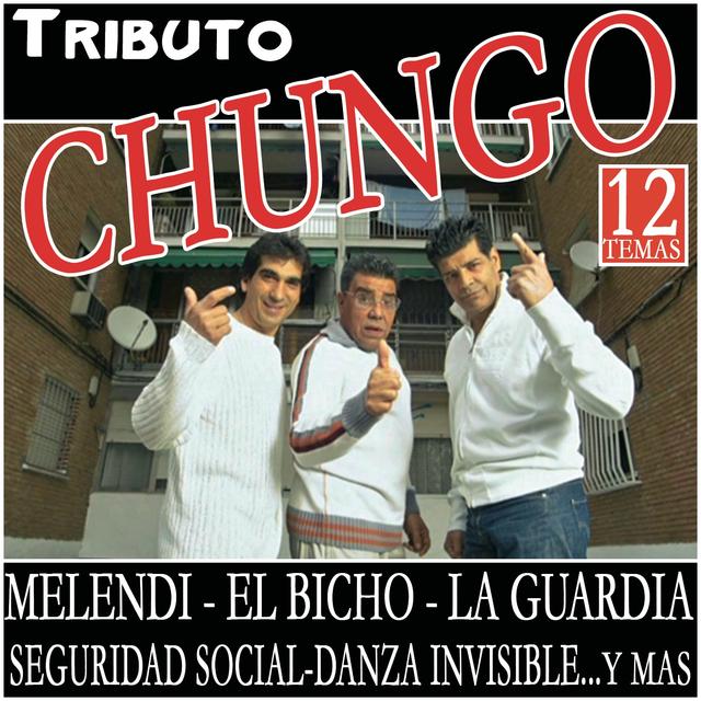 Album cover art for Tributo Chungo